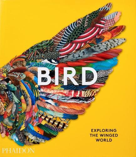 Cover of Bird