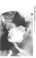 Cover of The Three Einsteins