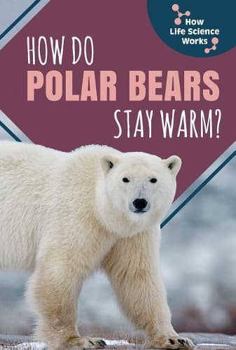 Cover of How Do Polar Bears Stay Warm?