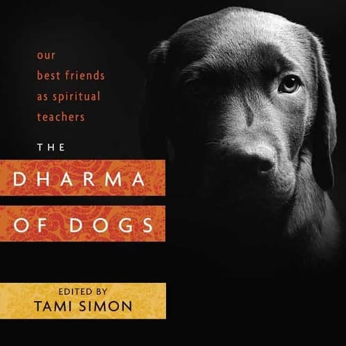 Cover of The Dharma of Dogs