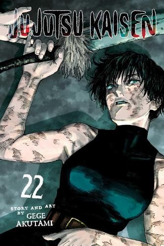 Cover of Jujutsu Kaisen, Vol. 22