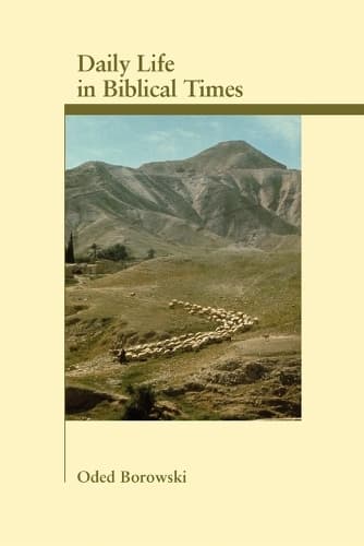 Cover of Daily Life in Biblical Times