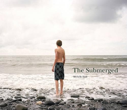 Cover of Submerged