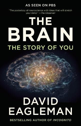 Cover of The Brain