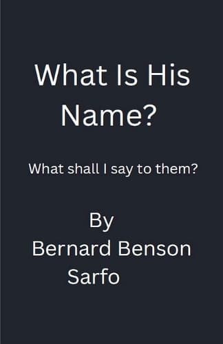 Cover of What Is His Name?