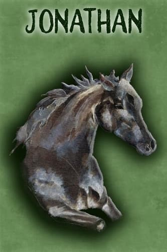 Cover of Watercolor Mustang Jonathan