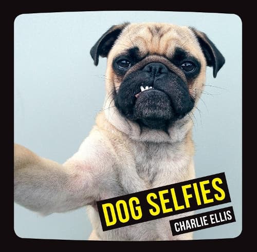 Cover of Dog Selfies