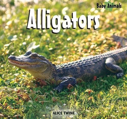 Cover of Alligators