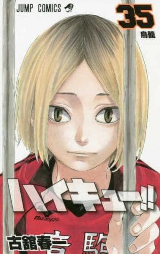 Cover of Haikyu!! 35