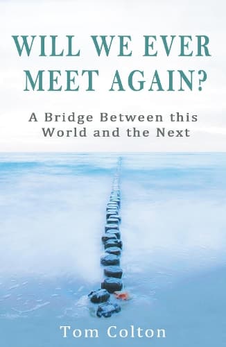 Cover of Will We Ever Meet Again?