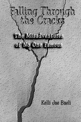 Cover of Falling Through the Cracks