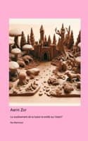 Cover of Aerin Zor