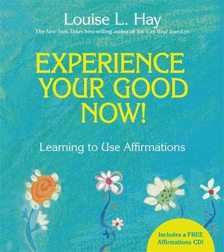 Cover of Experience Your Good Now!