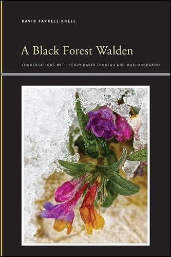 Cover of A Black Forest Walden: Conversations with Henry David Thoreau and Marlonbrando(SUNY series, Insinuations: Philosophy, Psychoanalysis, Literature)