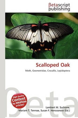 Cover of Scalloped Oak
