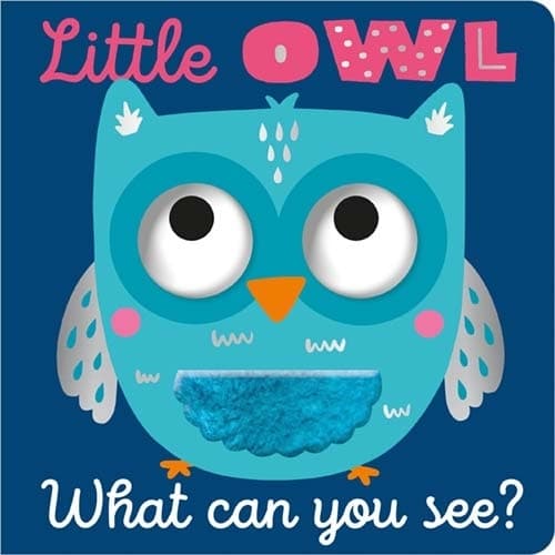 Cover of Little Owl What Can You See?