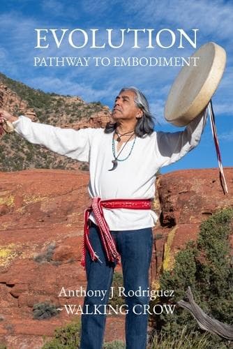 Cover of Evolution Pathway to Embodiment