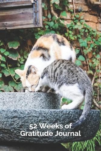 Cover of 52 Weeks of Gratitude