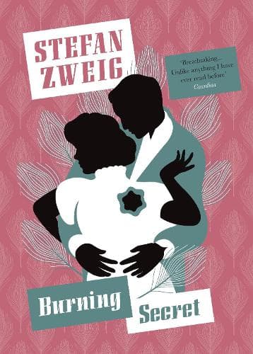 Cover of Burning Secret