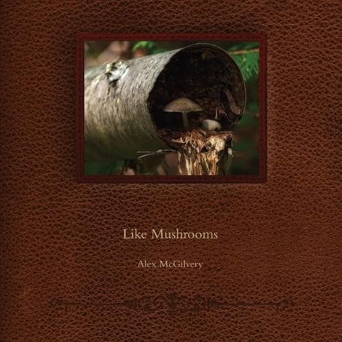 Cover of Like Mushrooms