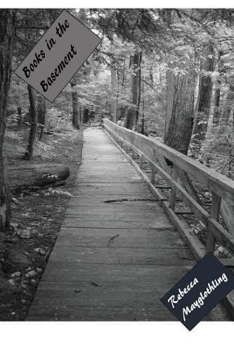 Cover of Books in the Basement