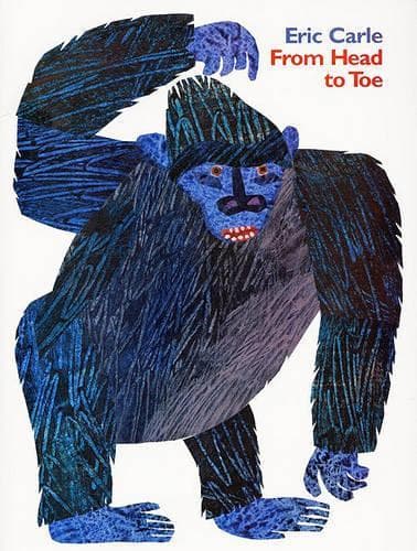 Cover of From Head to Toe