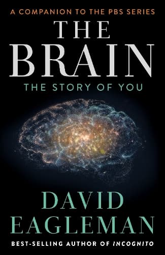 Cover of The Brain