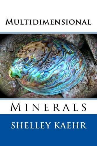 Cover of Multidimensional Minerals