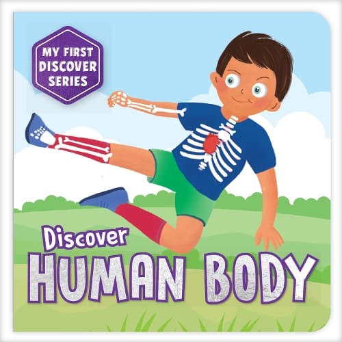 Cover of My First Discover Series: Human Body