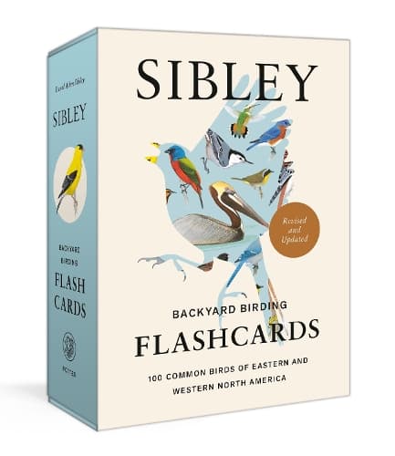 Cover of Sibley Backyard Birding Flashcards, Revised and Updated