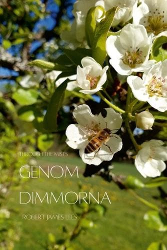 Cover of Genom dimmorna - Stor text