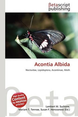 Cover of Acontia Albida