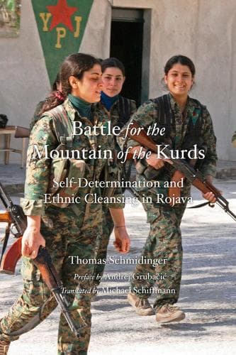 Cover of Battle for the Mountain of the Kurds