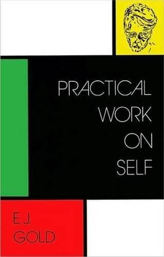 Cover of Practical Work on Self