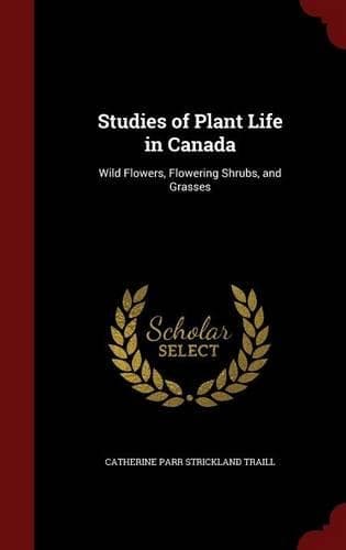 Cover of Studies of Plant Life in Canada