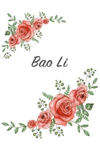 Cover of Bao Li