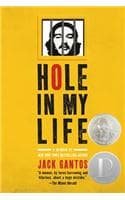 Cover of Hole in My Life