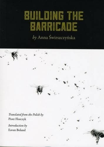 Cover of Building the Barricade