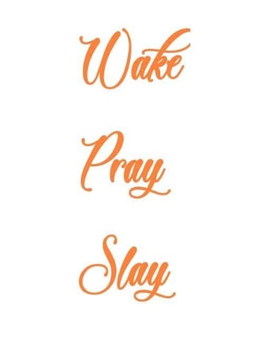 Cover of Wake Pray Slay