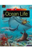 Cover of Ocean Life