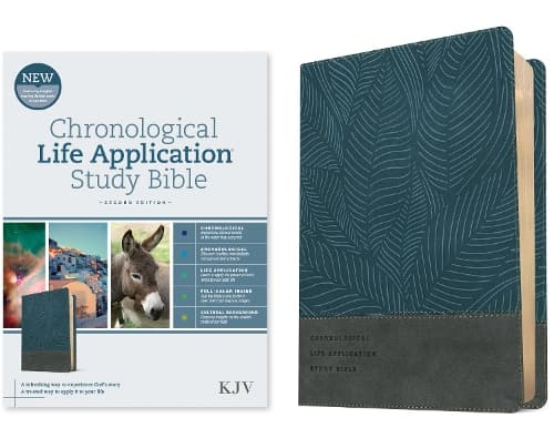 Cover of KJV Chronological Life Application Study Bible, 2nd Edition