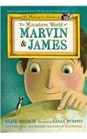 Cover of The Miniature World of Marvin & James