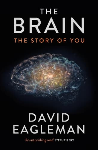 Cover of The Brain