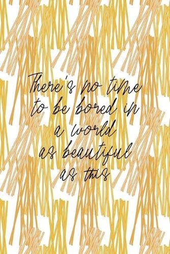 Cover of There's No Time To Be Bored In A World As Beautiful As This