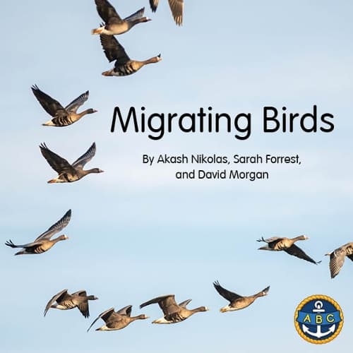Cover of Migrating Birds