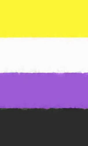 Cover of Nonbinary Pride Flag Journal