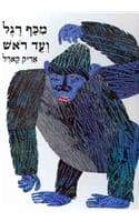 Cover of From Head to Toe
