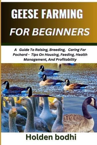 Cover of Geese Farming for Beginner