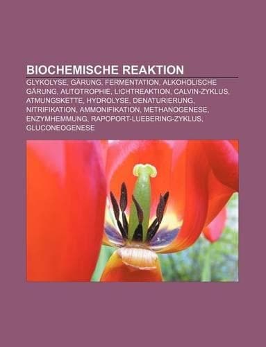 Cover of Biochemische Reaktion