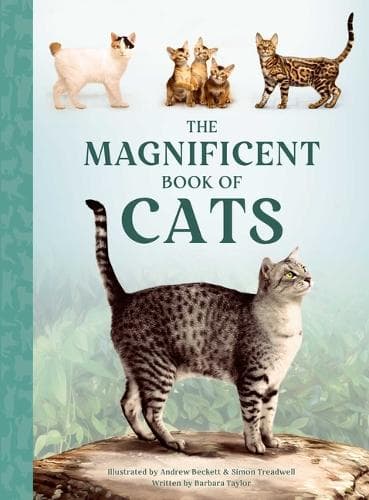 Cover of The Magnificent Book of Cats